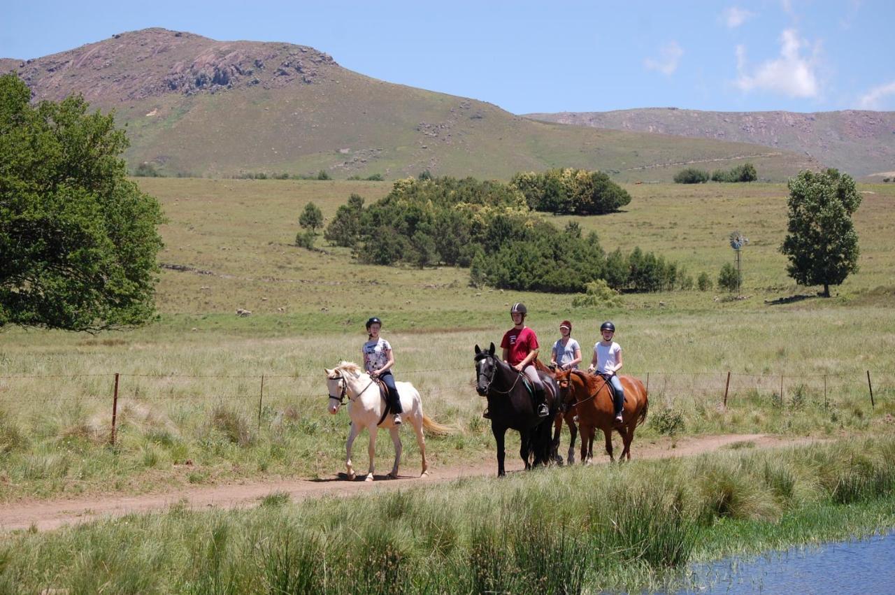 Lowestoffe Country - Walnut Holiday home Hogsback