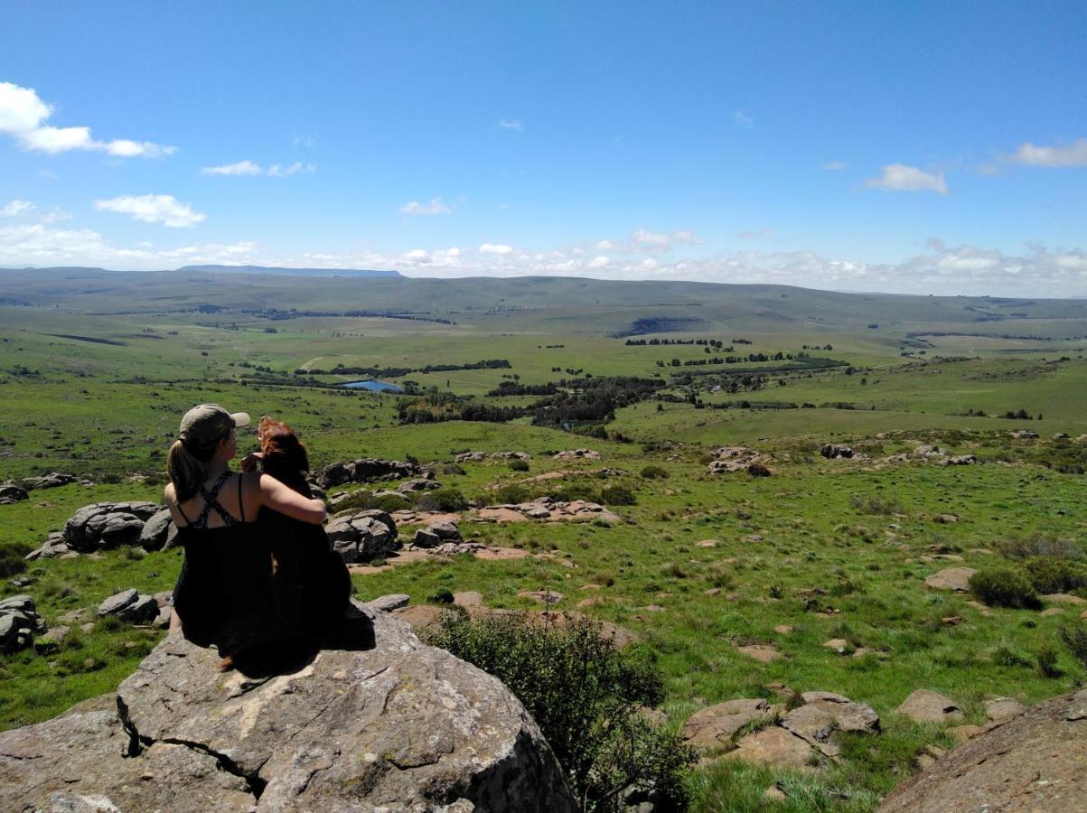Lowestoffe Country - Walnut Hogsback